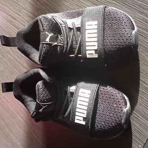Baby Pumas